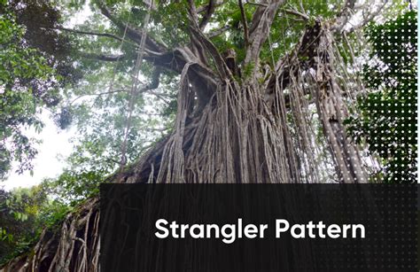 Using the Strangler Pattern to Break Down Your E-Commerce Monolith