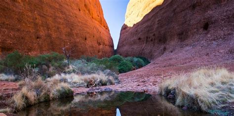 Uluru | Ayers Rock Sunrise Tour - Everything Australia