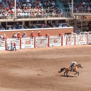 Calgary Stampede Rodeo, GMC Stadium - Calgary | AllEvents