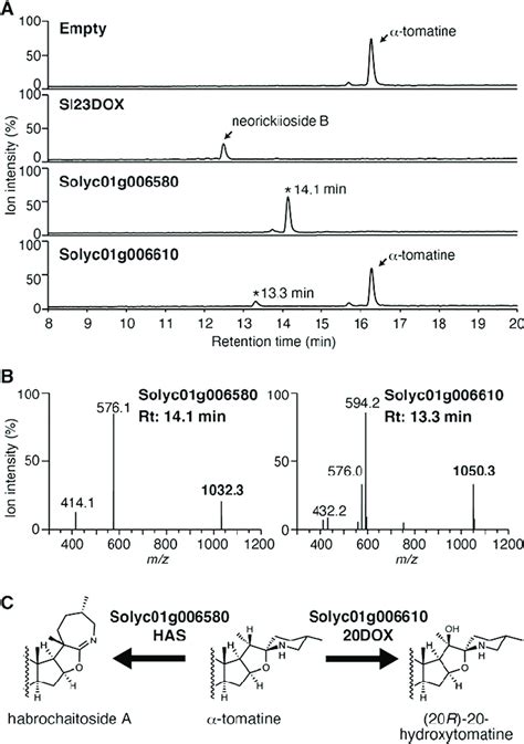 Lc Ms Analysis Of The Reaction Products From The Recombinant