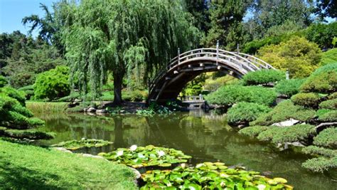 JAPANESE GARDEN KOI POND AT SOUTH COAST BOTANIC GARDENS Department