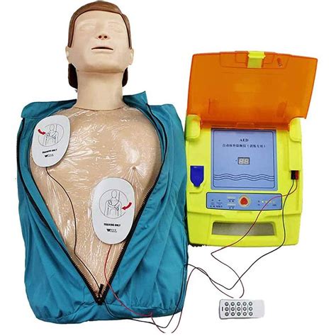 Buy Jhgf Body Model Half Body Cpr First Aid Training Manikin Model