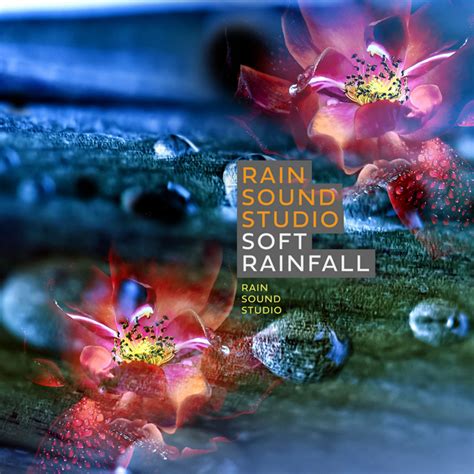 Rain Sound Studio Soft Rainfall Album By Rain Sound Studio Spotify