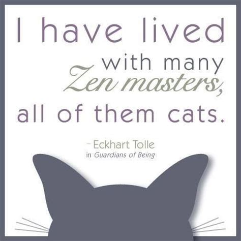 Zen Dog Quotes Quotesgram