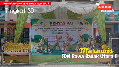 MARAWIS SDN RAWA BADAK UTARA 11 FESTIVAL MARAWIS TINGKAT SD