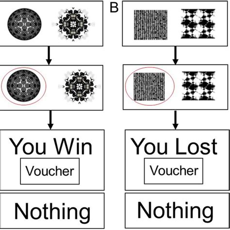 Behavioral Paradigm A Reward Gain Positive Valence System And B