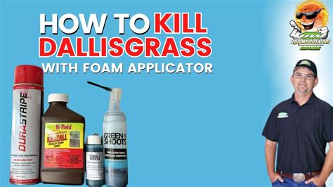 How To Get Rid Of Dallisgrass With Foam Applicator YouTube