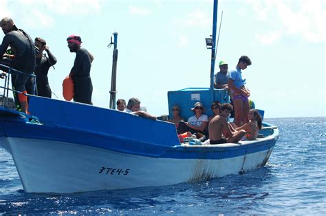 Fotos Traves A A Nado Mar De Las Calmas En El Hierro Canarias