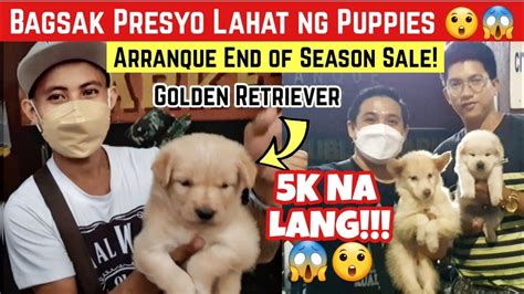 Dec Puppies Sa Arranque Petshop Naka Sale Na Lahat Ubusin Nyo Na