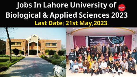 Jobs In Lahore University Of Biological And Applied Sciences 2023 How To Apply Youtube