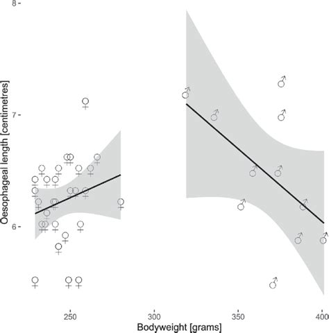 Regression Analysis Of Oesophageal Length For Bodyweight Sex And