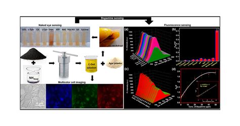 Nitrogen Doped Carbon Dots Via Hydrothermal Synthesis Naked Eye