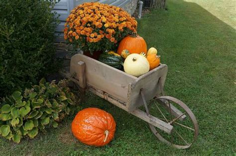 Pumpkins And Gourds In A Wooden Wagon Outside