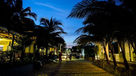 Qué Hacer En Playa Del Carmen Grand Hyatt Playa Del Carmen