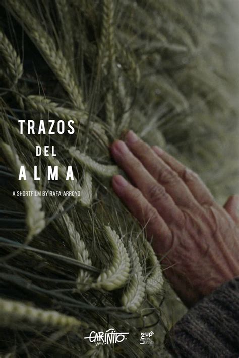 Trazos Del Alma 2021 Posters The Movie Database TMDB