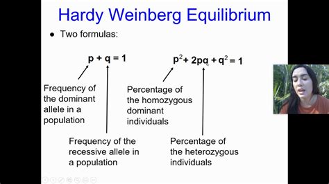 Hardy Weinberg Equilibrium Lecture And Practice Ap Biology Youtube