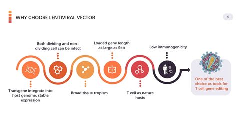 Viral Based Gene Delivery System For Car T Cell Engineering Creative