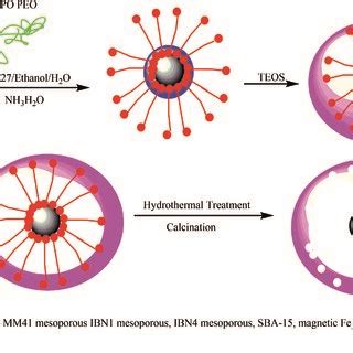 The Synthesis Of Yolkshell Fe3O4 PMAA Composite Microspheres