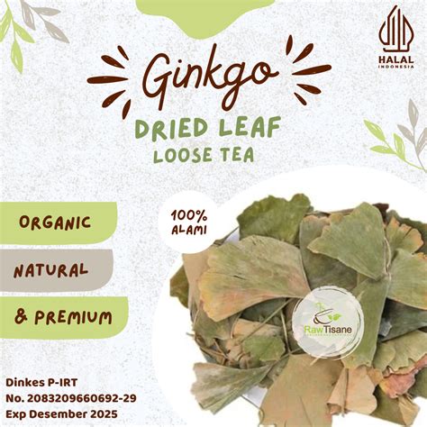 Raw Tisane Ginkgo Leaf Tea Ginkgo Biloba Leaf Tea Teh Daun Ginkgo