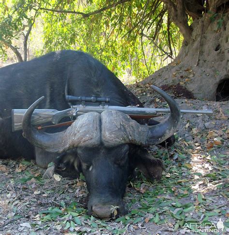 Ruger Alaskan in 375 Ruger rifle with a 23" barrel | AfricaHunting.com