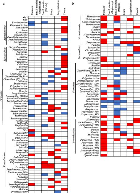 Differentially Abundant Bacterial Taxa At The Genus Level Between