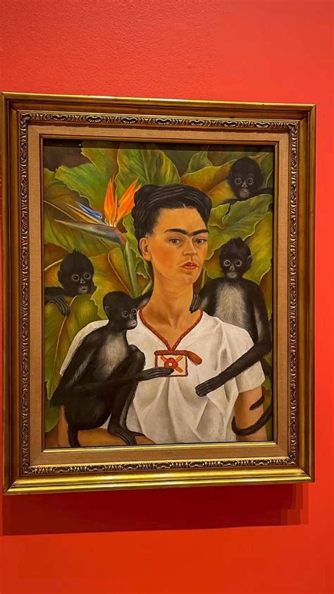 Frida Kahlo | Mexican Art | Mexican Culture | Museum Art | Frida Kahlo ...