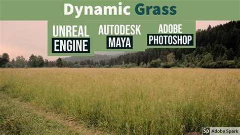 Part Make Your Dream Project Realistic Create Dynamic Grass In