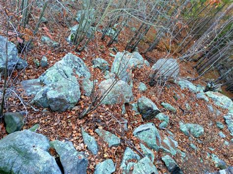 Pinnacle Mountain State Park Stock Image - Image of rocky, pine: 240652571