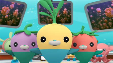 Octonauts Creature Reports Abc Iview