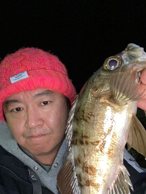 ワンドロ さんの 2023年02月13日のクロメバルの釣り・釣果情報千葉県 館山湾 アングラーズ 釣果400万件の魚釣り情報サイト