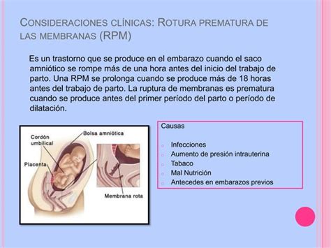 Del Tercer Al Nacimiento El Feto Y La Placenta PPT