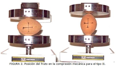 Propiedades mecánicas y respuesta fisiológica de frutos de chicozapote