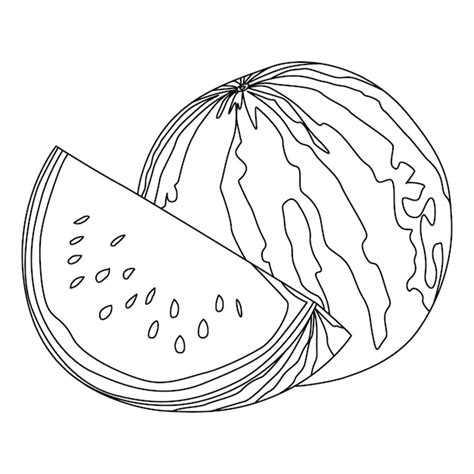 Wassermelonen Umriss Sketch Vektor Illustration Premium Vektor