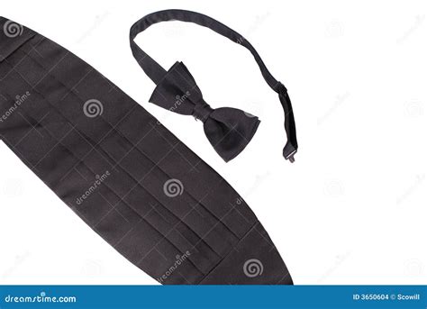 Tuxedo Tie and Cummerbund stock photo. Image of formalwear - 3650604