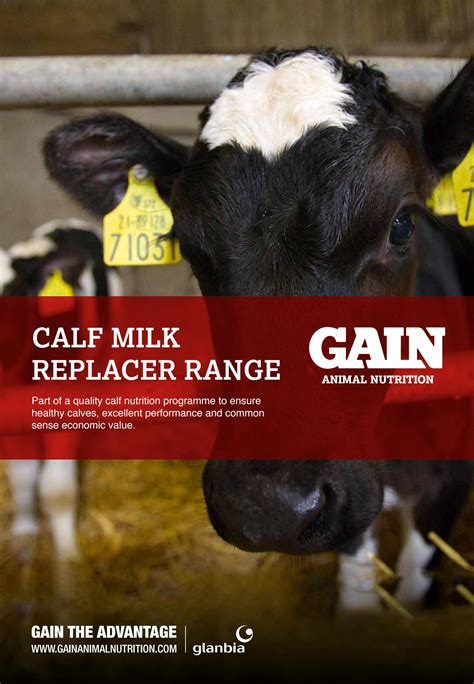 Calf Milk Replacer Range By Gbsdigitalmedia Issuu