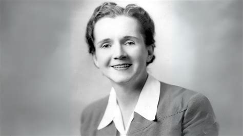 Rachel Carson La Vita E I Libri Dell Autrice Di Primavera Silenziosa