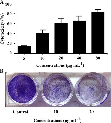 Cytotoxicity Assay Against Mcf 7 Cell Line A Mtt Assay Of Mcf 7 Cells