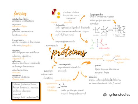 Mapa Mental Da Proteina Mema