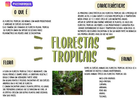 Floresta Tropical Enem