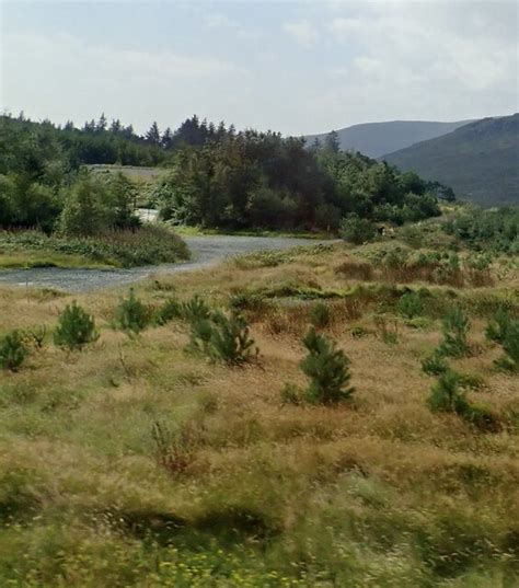 Service Road Linking Moyad Road To The Eric Jones Geograph