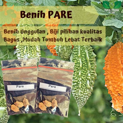 Benih Pare Biji Unggulan Kualitas Bagus Mudah Tumbuh Dan Berbuah Lebat