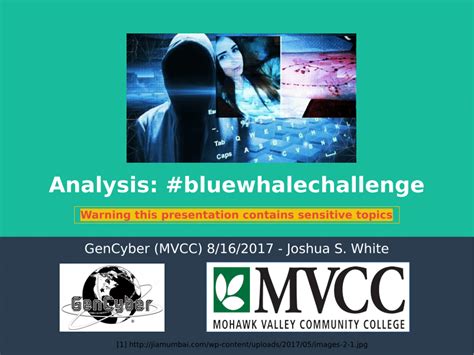 (PDF) Analysis: #Bluewhalechallenge (Blue Whale Challenge)