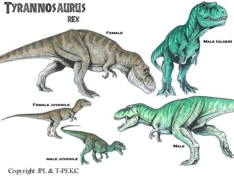 Jurassic Park T Rex Female