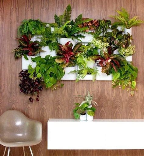 25 Indoor Plant Wall Ideas For Everlasting Greenery