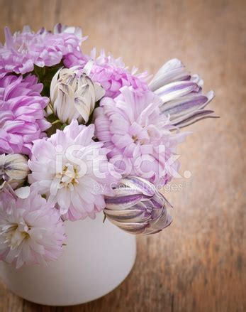 Beautiful Aster Flower Bouquet On Wooden Table Stock Photo | Royalty-Free | FreeImages