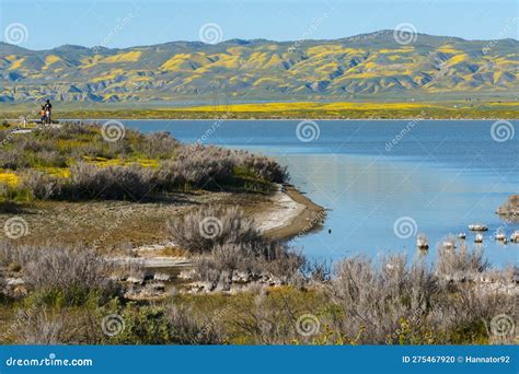 Soda Lake Full Of Water And Wildflowers Bloom At Carrizo Plain