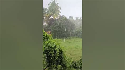 Rainy Season In Konkan Ratnagiri रिमझिम पाऊस आणि हिरवळ कोकण