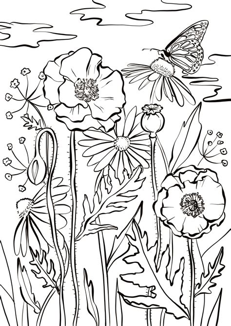 Coloriage Adulte A Imprimer Gratuits A Imprimer Coloriages Dessins Et