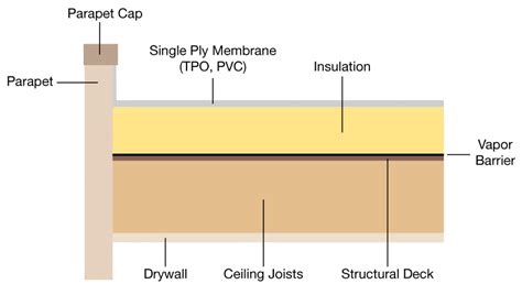 The Parts Of A Roof Comprehensive Guide Rapid Restore