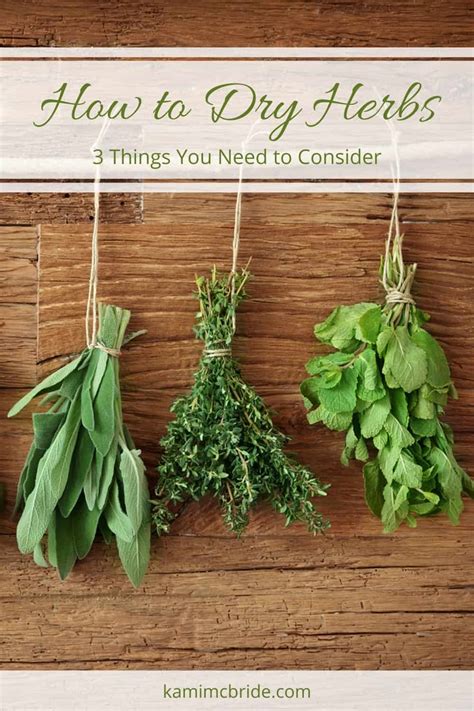 How to Dry Herbs: 3 Things You Need to Consider